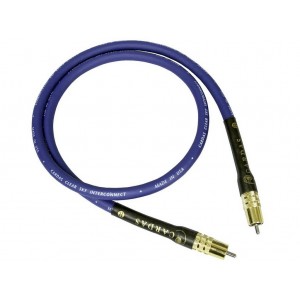 Clear Light Interconnect RCA