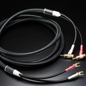 EVOLUTION II SPEAKER