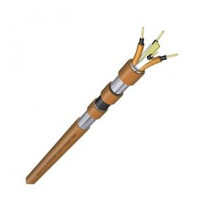 The Integration Hybrid